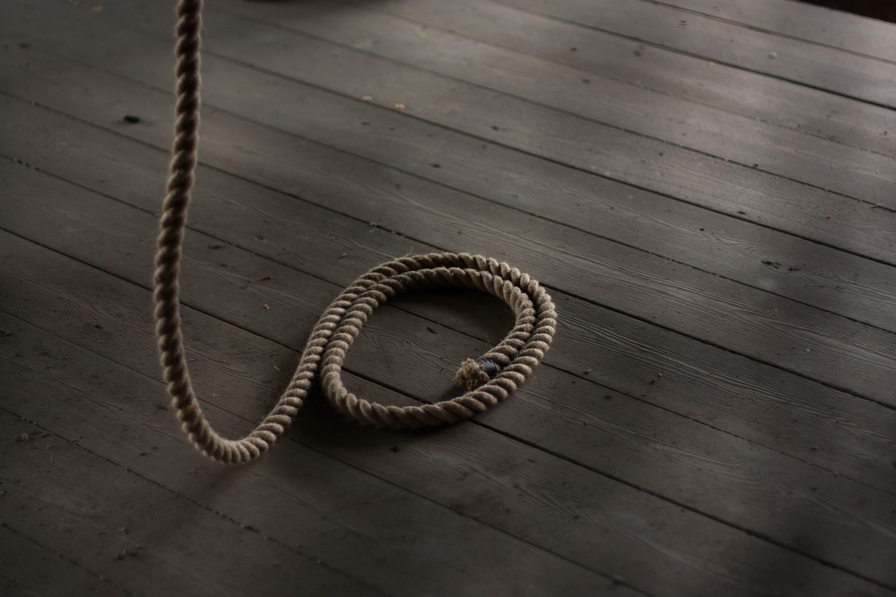 A Proverb On Trauma – Entrusted to the Dirt